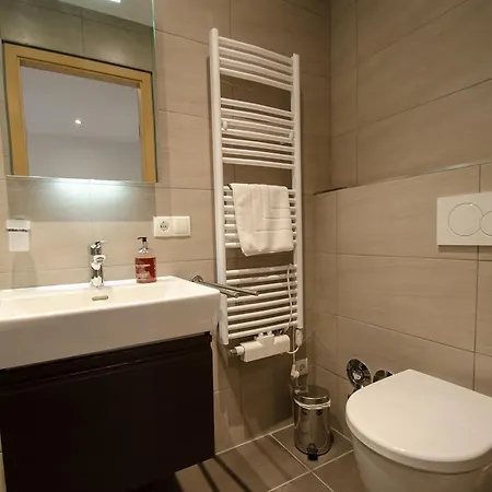 Superb Alpine By In One Appartement Zell am See
